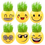 Zalindo - Pot Emoji Emoticon / Tanaman Hias Rumput Emoji / Vas Bunga Emoticon Emoji / Pot Bisa Tumbuh Rumput / Pot Bunga Mini Lucu Imut