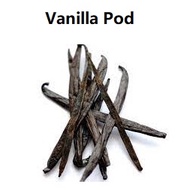 Vanilla Pod / Vanilla Bean