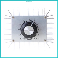 RPAN Upgraded 5000W Motor Speed Regulator Efficient Power Regulator 220V 5000W Thyristor Motor for E