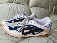 ASICS indoor sports shoes Size 43