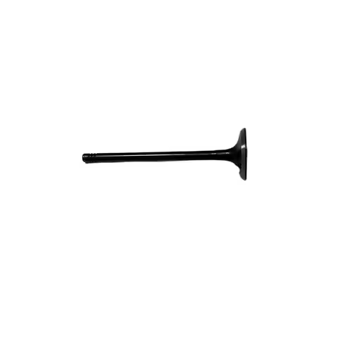 stzt 11341438385 High quality auto engine parts engine valve for BMW M54 M54B30 E46 E39 E60 E65 X3 X