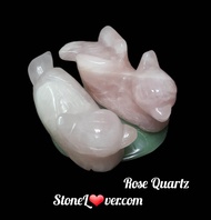 #Rose Quartz #Mandarin Duck
#เป็ดแมนดาริน
#รักแท้ #รักนิรันดร #foreverlove

#เป็ดแมนดาริน  👉เป็นสัญล