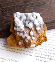 Selenite 湖北產地 透石膏花 天然礦石 原礦