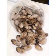 1KG WITH ICE | SIZE 9-11 | CHINA FROZEN OYSTER MEAT | ISI OYSTER TAIWAN | 中国冷冻生蚝肉