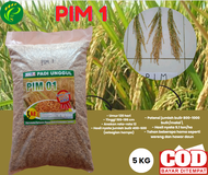 BIJI Unggul Padi PIM 1 Kemasan 5kg