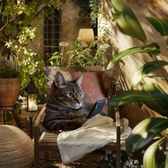 Cat, Soft, Single-sided Print, Throw Pillow, Polyester Fiber, Zipper Closure, Suitable for Sofa Deco