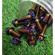 SCREW TITANIUM M8 25mm / SKRU TITANIUM MURAH / SKRU FOOTREST / SKRU SPROCKET 1PCS