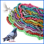 ℗ ✤ 10Pcs PHA Pigeon rings 2025 Pigeons foot ring Singsing ng kalapati 2025 for Karera ng kalapati
