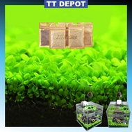 🔥Ready Stock🔥8 grams Aquarium Plant Seed Water Grass Foreground Aquatic Plants Carpet Plant Seed