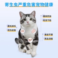 /Extract Universal Net Pets In Cats Dogs Dogs Dogs Pets Chong 11.7 Pieces Net All Plant Ingredients 