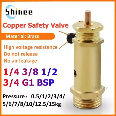 1/5/10PCS 1KG 2KG 3KG 5KG 6KG 8KG 10KG Air Compressor Safety Release Pressure Valve for Boiler Steam