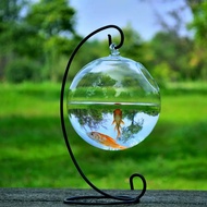 Aquarium Fish Tank Small Micro Landscape Turtle Fish Box Hanging Succulent Glass Vase