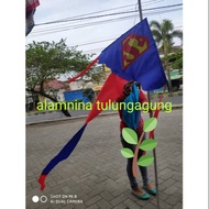 Kite kite*
