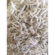 Anchovy rice Anchovy/ Nilon Anchovy Tege sibolga medan Anchovy/ ikan bilis