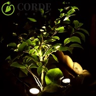 CORDE Solar Pond Spotlights, Dual Waterproof Auto On/Off LED Solar Underwater Lights, Submarine Land