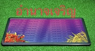 กรอบป้ายทะเบียนรถยนต์ลายกราฟฟิกประมูลจังหวัดอำนาจเจริญ (1คู่ หน้า+หลัง พร้อมอุปกรณ์