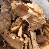 Isopod Pet Food Dried Leaves Oak Leaves Dried / Dry Leaf / Dry Oak Leaves