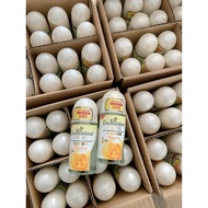 Enchanter water deodorant 50ml