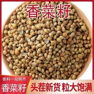 48 Hours Delivery New Product Coriander Seeds Coriander Seeds Coriander Seeds Coriander Coriander Se