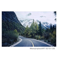 135 Colorful Movie Film High-Sensitivity Blue Cold Tone Melancholy Art Night Indoor Outdoor 5219 Kod