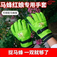 Hornet Anti-Bee Gloves Thickened Beekeeping Hornet Hornet Sugar-Resistant Matchmaker Dedicated Wear-