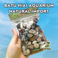 Decorative Stone NATURAL AQUARIUM IMPORT Betta Fish Turtle Water RES BRAZIL ALBINO DAMER TERRARIUM K