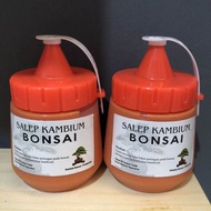 SALEB KAMBIUM SALEP KAMBIUM BONSAI 200 ML original