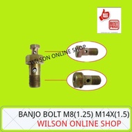 Banjo Bolt M8 (1.25) X M14 (1.5)
