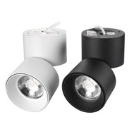 COB LED Downlights Surface Mounted LED Ceiling Lamps 3W 5W 7W 10W 12W 15W 18W 20W Foldab