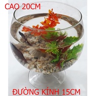Small Glass Fish Tank LC3 20x15x15CM - Desktop Aquarium - Glass Fish Tank 20x15x15