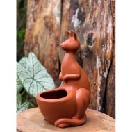 Terracotta Pot (Buffalo)
