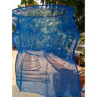 Red Ant Egg Swing Steel Edge