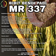 MR 337 RICE SEEDS 1KG PACKAGING