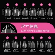 Pieceg custard apple seeds, short inner bulb nails, box of 240 nails of all sizes, box of 240 round 