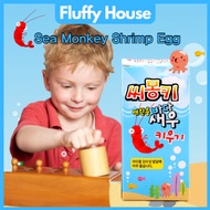 Raising Shrimp Sea Monkey Shrimp EggKids Toy 2 Type model