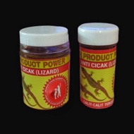 Cicak Viral Cicak Sedini Semalaman