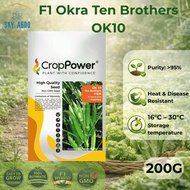 Ten Brothers Benih Bendi F1 Hybrid OK10 Okra Seed 羊角豆种子 Biji Benih Sayur Mudah Tanam Cepat Tumbuh