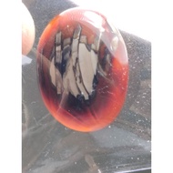 Loose Stone - Nunggal Stone Coralnatural, CAP JI SHIO SERIES, OX Nunggal Coral Stone/, CAP JI SHIO S