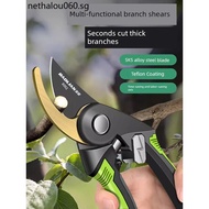 Pruning Shears Branch Shears Baolian Pruning Shears Gardening Shears Special Shears for Pruning Bran