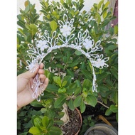 Silver Crown Crown Princess