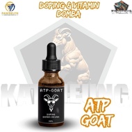 Dewishop - TERLARIS ATP Goat Obat Doping Domba Adu Domba Garut Adu Domba Stamina Tahan Sakit Nafsu