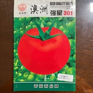 （💕💕新品上市）五洲牌澳洲强星301番茄种籽高产四季园林盆栽蔬菜种子电商批发（联系客服在下单） V3GY