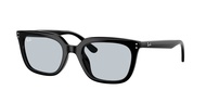 RAY-BAN - RB4439D 901/72 54 BLACK