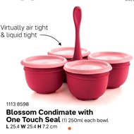 Blossom condimate with one touch seal (1)250ml tupperware