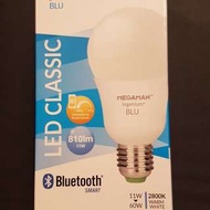 <全新>曼佳美智能藍芽搖控LED
