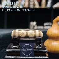 Dzi 🇲🇾 老氣五眼天珠 5-Eyed Dzi GF05259