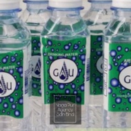 Air minuman Gau 250ml x 24 botol(ready stock)