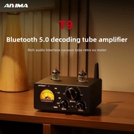 AIYIMA T9 Bluetooth 5.0 Vacuum Tube Amplifier 100Wx2 Hi-Fi Stereo USB DAC Home Audio Digital Amp