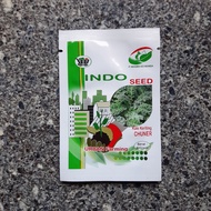 CHUNER Kale Seeds 1gr - indoseed Curly Kale Seeds