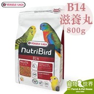《寵物鳥世界》凡賽爾Versele-Laga歐樂斯Nutribird B14滋養丸(800G) 小/中小型 BS014